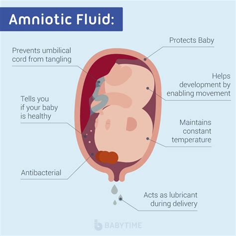 leaking early pregnancy|Leaking amniotic fluid (premature rupture of membranes)